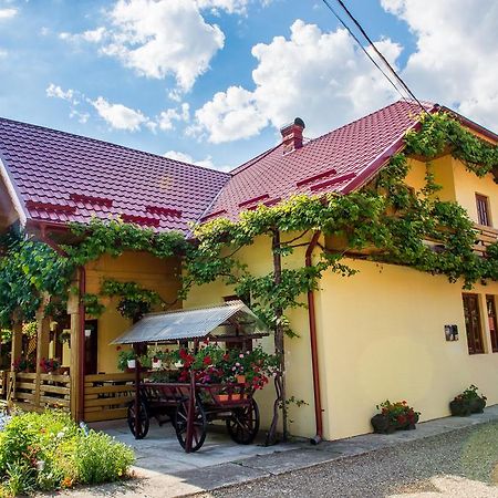 苏恰维塔 Casa Andreea酒店 外观 照片