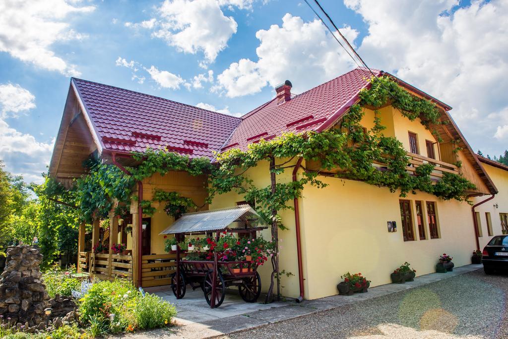 苏恰维塔 Casa Andreea酒店 外观 照片