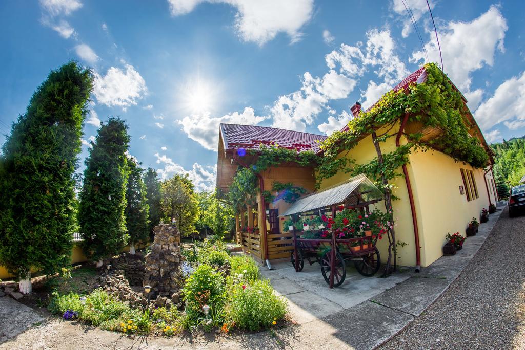 苏恰维塔 Casa Andreea酒店 外观 照片